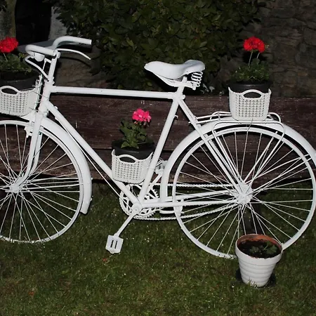 Feriehus Casa: El Portalon De Valdivia *