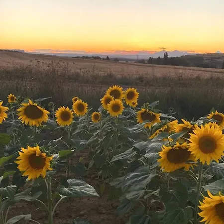 Casa: El Portalon De Valdivia