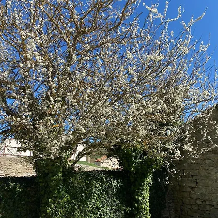 Casa de Férias Casa: El Portalón De Valdivia