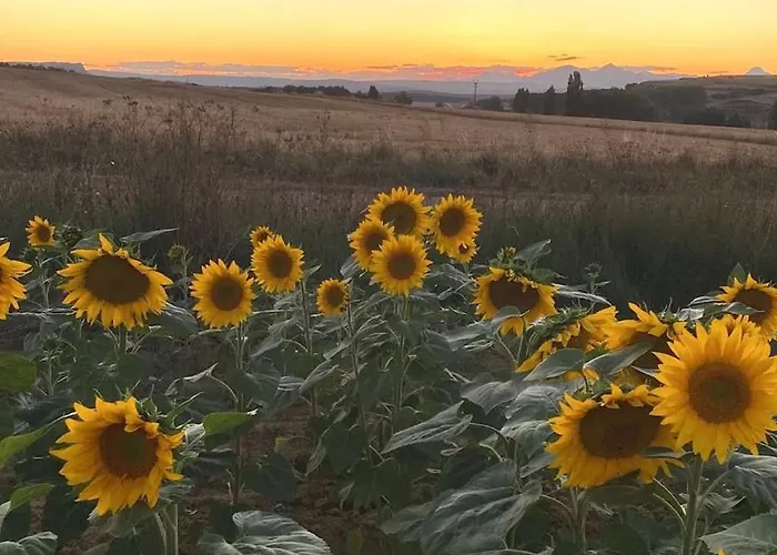 Casa: El Portalon De Valdivia