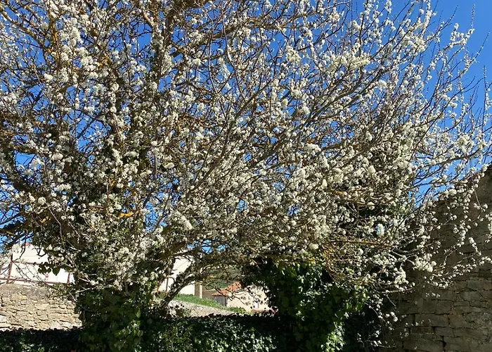 펜션 Casa: El Portalon De Valdivia